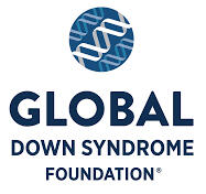 GLOBAL DSF
